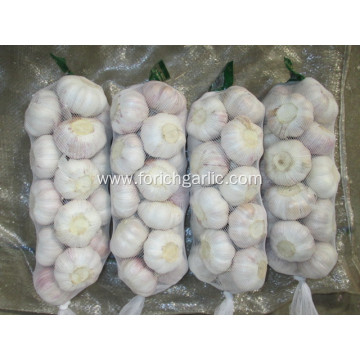 2020 Normal White Garlic Price